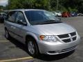Bright Silver Metallic - Caravan SXT Photo No. 16