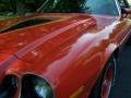 Light Red - Camaro Z28 Coupe Photo No. 28