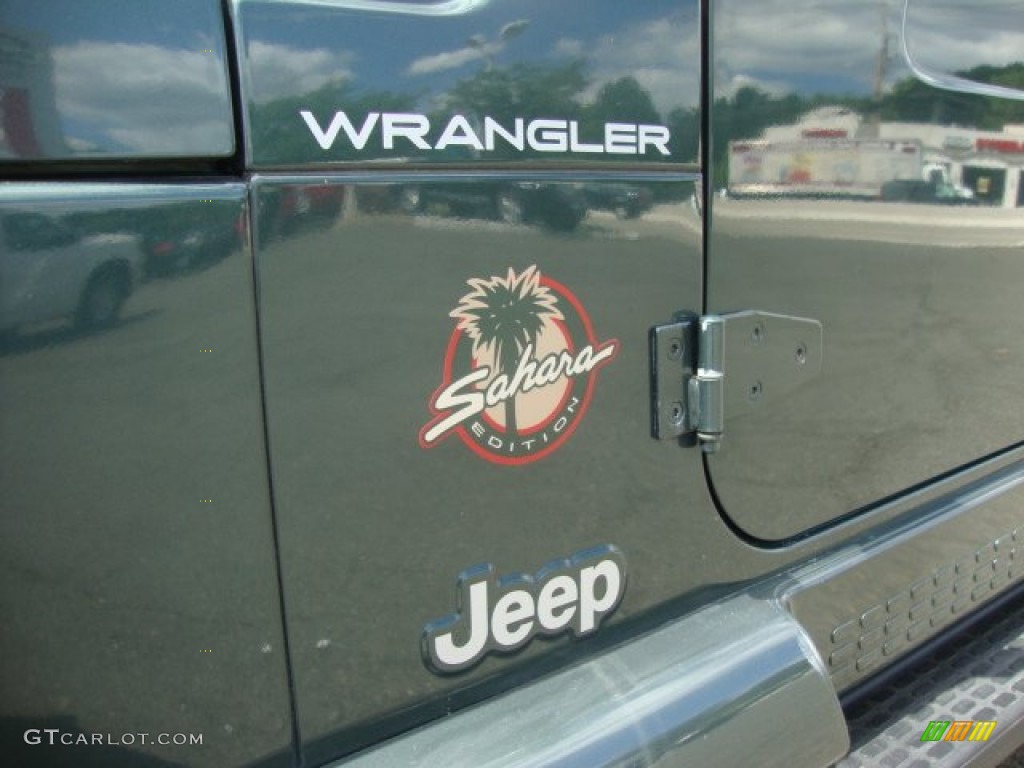 2002 Jeep Wrangler Sahara 4x4 Marks and Logos Photo #52254010