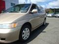 Mesa Beige Metallic - Odyssey EX Photo No. 2