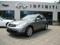 Platinum Graphite Gray - EX 35 Journey Photo No. 1