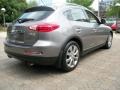 Platinum Graphite Gray - EX 35 Journey Photo No. 9