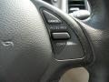 Platinum Graphite Gray - EX 35 Journey Photo No. 35