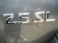 Precision Gray Metallic - Altima 2.5 SL Photo No. 12