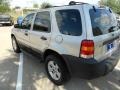 2005 Silver Metallic Ford Escape XLT V6  photo #5