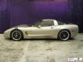 2000 Light Pewter Metallic Chevrolet Corvette Coupe  photo #5