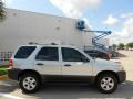 2005 Silver Metallic Ford Escape XLT V6  photo #8