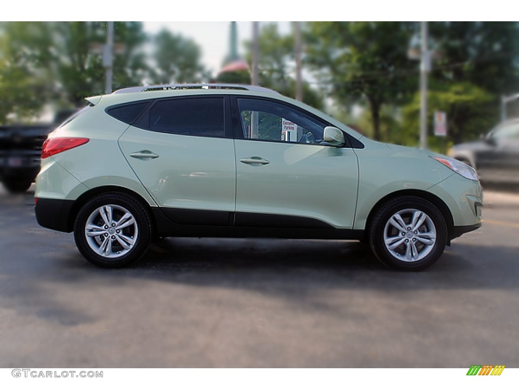 Kiwi Green 2010 Hyundai Tucson Limited AWD Exterior Photo #52261753