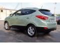 2010 Kiwi Green Hyundai Tucson Limited AWD  photo #5