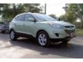 2010 Kiwi Green Hyundai Tucson Limited AWD  photo #9