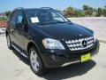 Black - ML 350 4Matic Photo No. 1