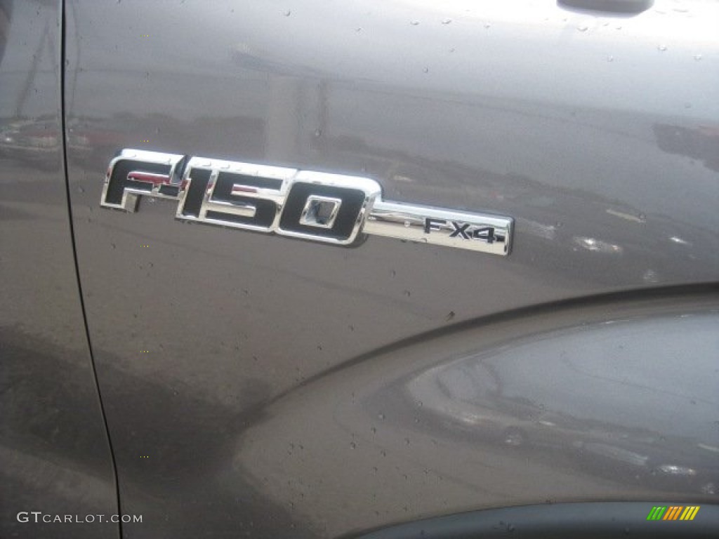 2009 F150 FX4 SuperCrew 4x4 - Sterling Grey Metallic / Black/Black photo #15