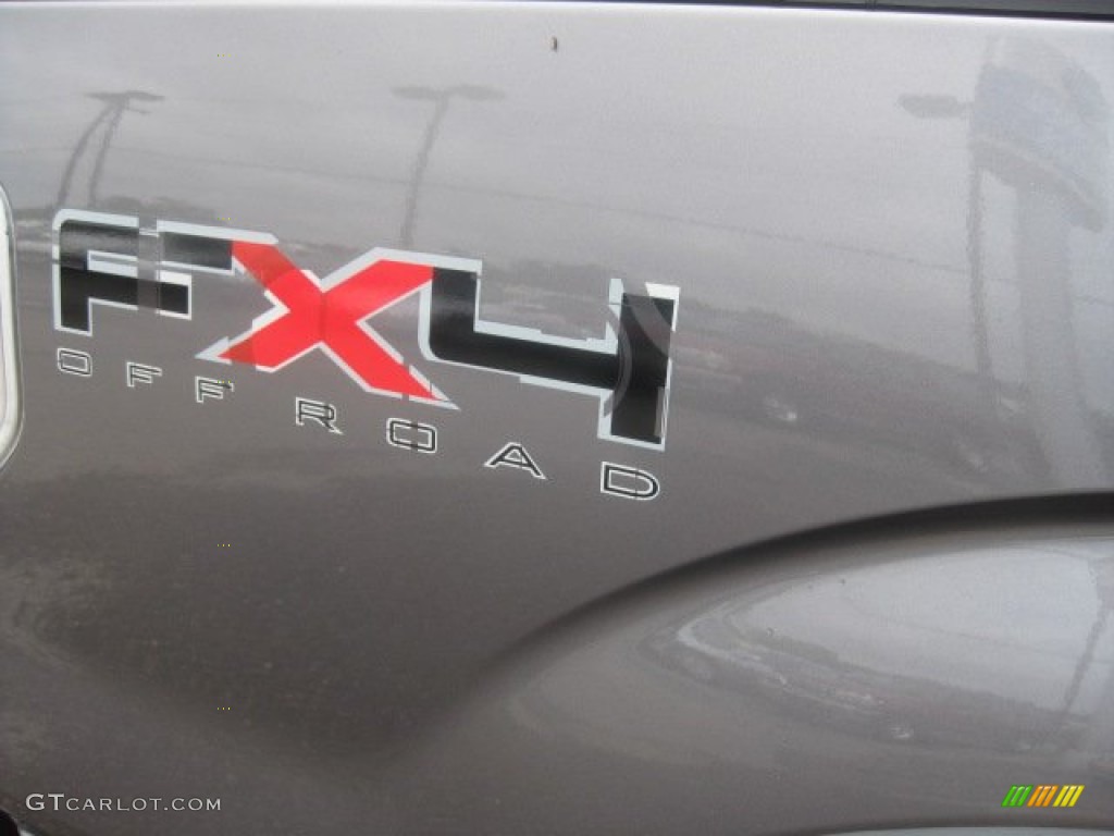 2009 F150 FX4 SuperCrew 4x4 - Sterling Grey Metallic / Black/Black photo #17