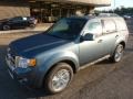 Steel Blue Metallic 2012 Ford Escape Limited V6 4WD Exterior