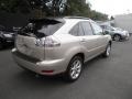 Savannah Metallic - RX 350 AWD Photo No. 6