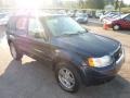 2004 True Blue Metallic Ford Escape Limited 4WD  photo #6