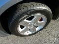 Silver Steel Metallic - Magnum SXT Photo No. 9