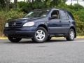 2001 Azure Blue Metallic Mercedes-Benz ML 320 4Matic  photo #25