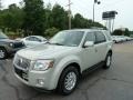 Light Sage Metallic 2009 Mercury Mariner V6 Premier 4WD