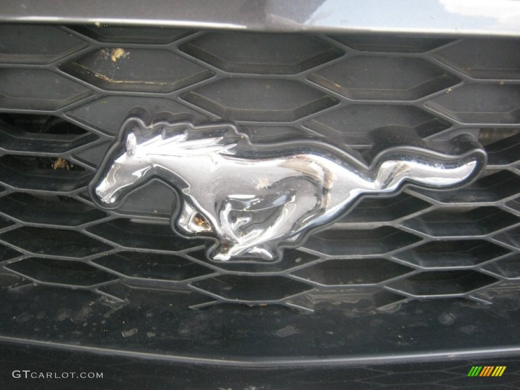 2007 Mustang GT Premium Coupe - Alloy Metallic / Black/Dove Accent photo #23