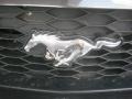 2007 Ford Mustang GT Premium Coupe Marks and Logos