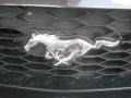 2007 Alloy Metallic Ford Mustang GT Premium Coupe  photo #23