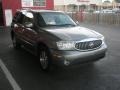 Titanium Gray Metallic - Rainier CXL AWD Photo No. 7