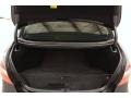 Black Trunk Photo for 2010 Lexus LS #52275538