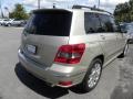 Pearl Beige Metallic - GLK 350 Photo No. 15