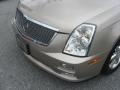 2006 Sand Storm Cadillac STS V6  photo #40