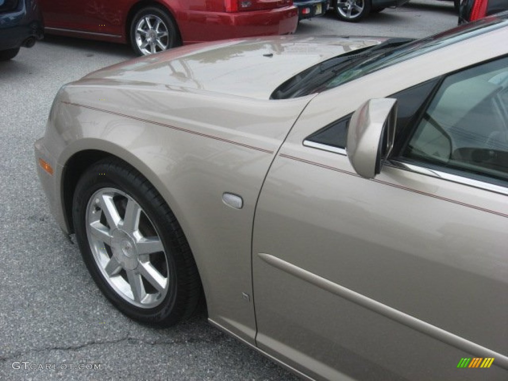 2006 STS V6 - Sand Storm / Cashmere photo #47