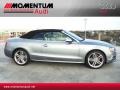 Quartz Grey Metallic - S5 3.0 TFSI quattro Cabriolet Photo No. 12