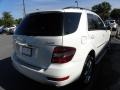 Arctic White - ML 350 4Matic Photo No. 15