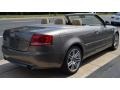 Alpaka Beige Metallic - A4 2.0T Cabriolet Photo No. 6