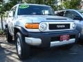 Titanium Metallic - FJ Cruiser 4WD Photo No. 1