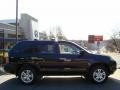 Nighthawk Black Pearl - MDX  Photo No. 3