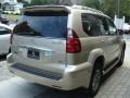Savannah Beige Metallic - GX 470 Photo No. 4