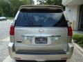 Savannah Beige Metallic - GX 470 Photo No. 5