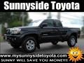 Black Sand Pearl 2008 Toyota Tacoma PreRunner Access Cab