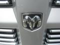 Bright Silver Metallic - Nitro Heat Photo No. 18