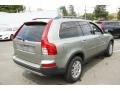 Willow Green Metallic - XC90 3.2 AWD Photo No. 6