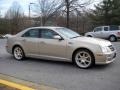 2008 Gold Mist Cadillac STS V6  photo #5