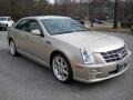 2008 Gold Mist Cadillac STS V6  photo #6