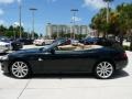 Botanical Green - XK XK8 Convertible Photo No. 5