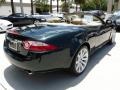 Botanical Green - XK XK8 Convertible Photo No. 10