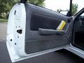 Saleen Grey/White/Yellow Door Panel Photo for 1989 Ford Mustang #52329192