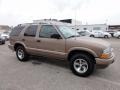 2004 Sandalwood Metallic Chevrolet Blazer LS  photo #6