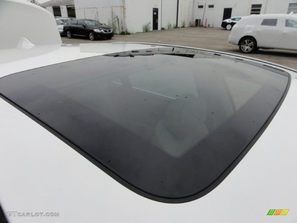 2010 BMW 7 Series 750Li xDrive Sedan Sunroof Photo #52334937