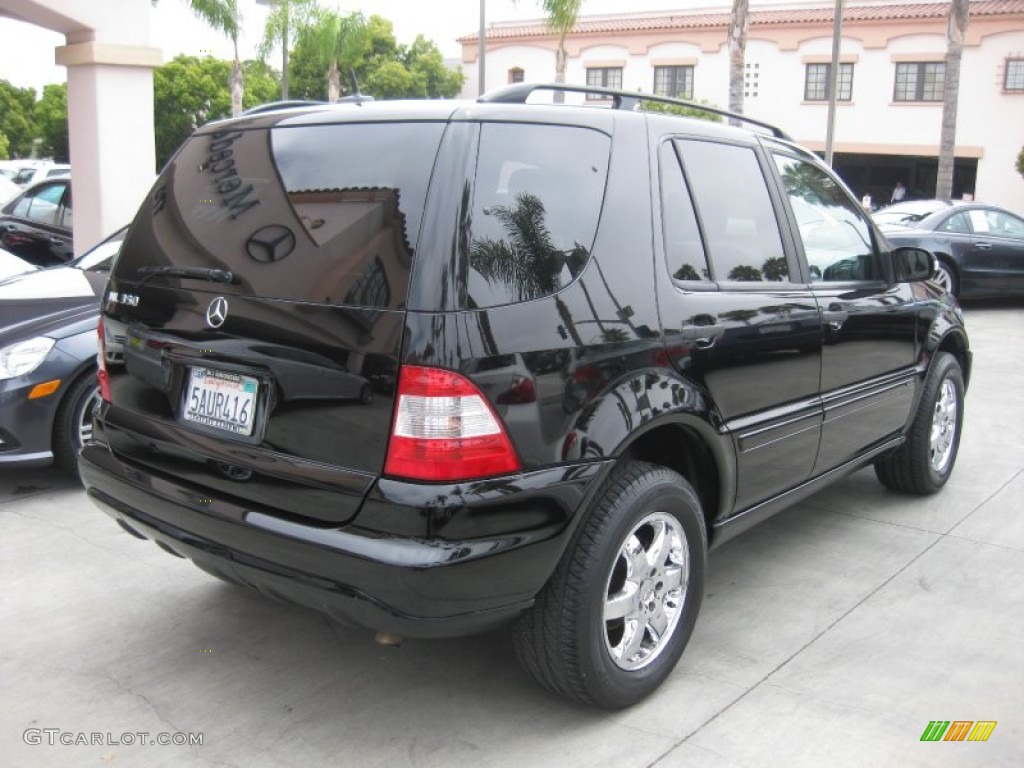 2003 ML 350 4Matic - Black / Charcoal photo #2
