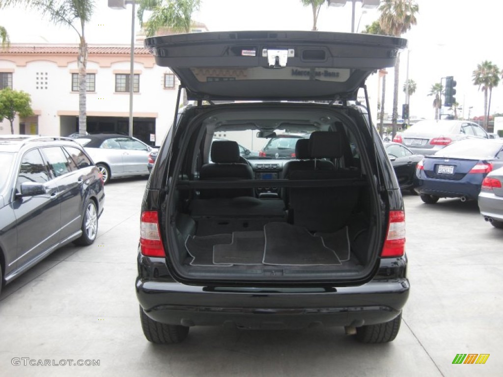 2003 ML 350 4Matic - Black / Charcoal photo #4
